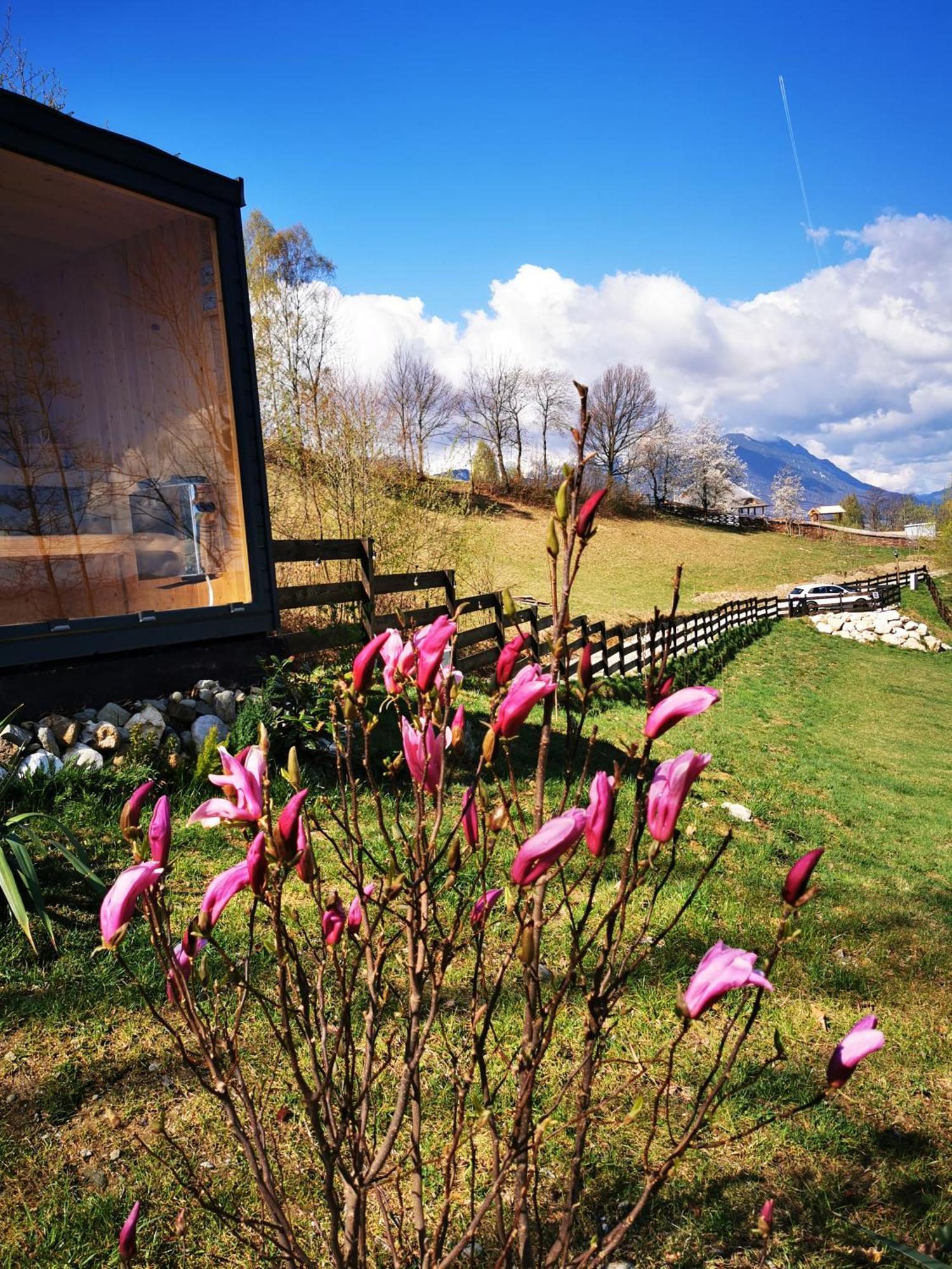 Doza De Verde Retreat&Spa Bran-Adults Only Sohodol  Extérieur photo